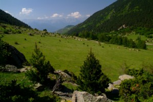 1 Vall de la Llosa Cerdanya 1 320x200