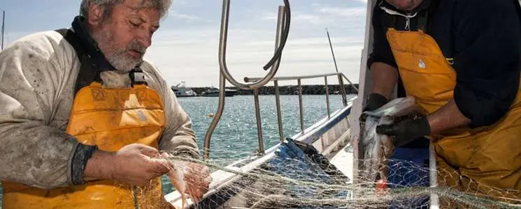 pesca al maresme