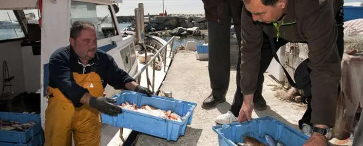 pesca al maresme