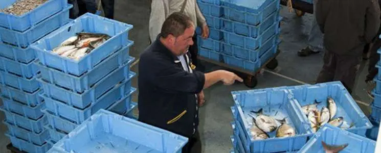 pesca al maresme