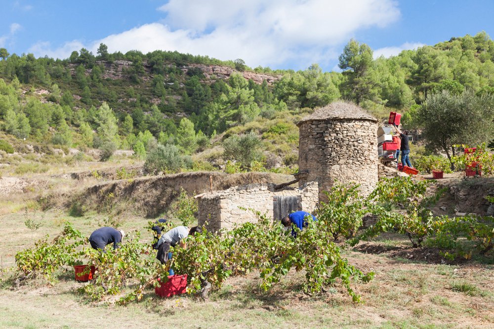 El Camí de la Transhumància d'Avinyó i el vi de Tina d'Abadal reben el premi Viu la Pedra Seca