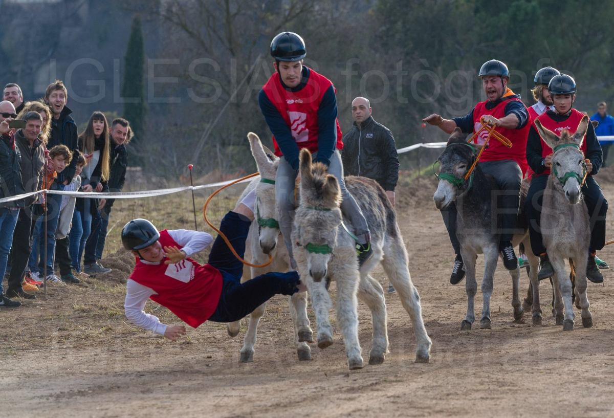 Home caient del burro a mitja carrera