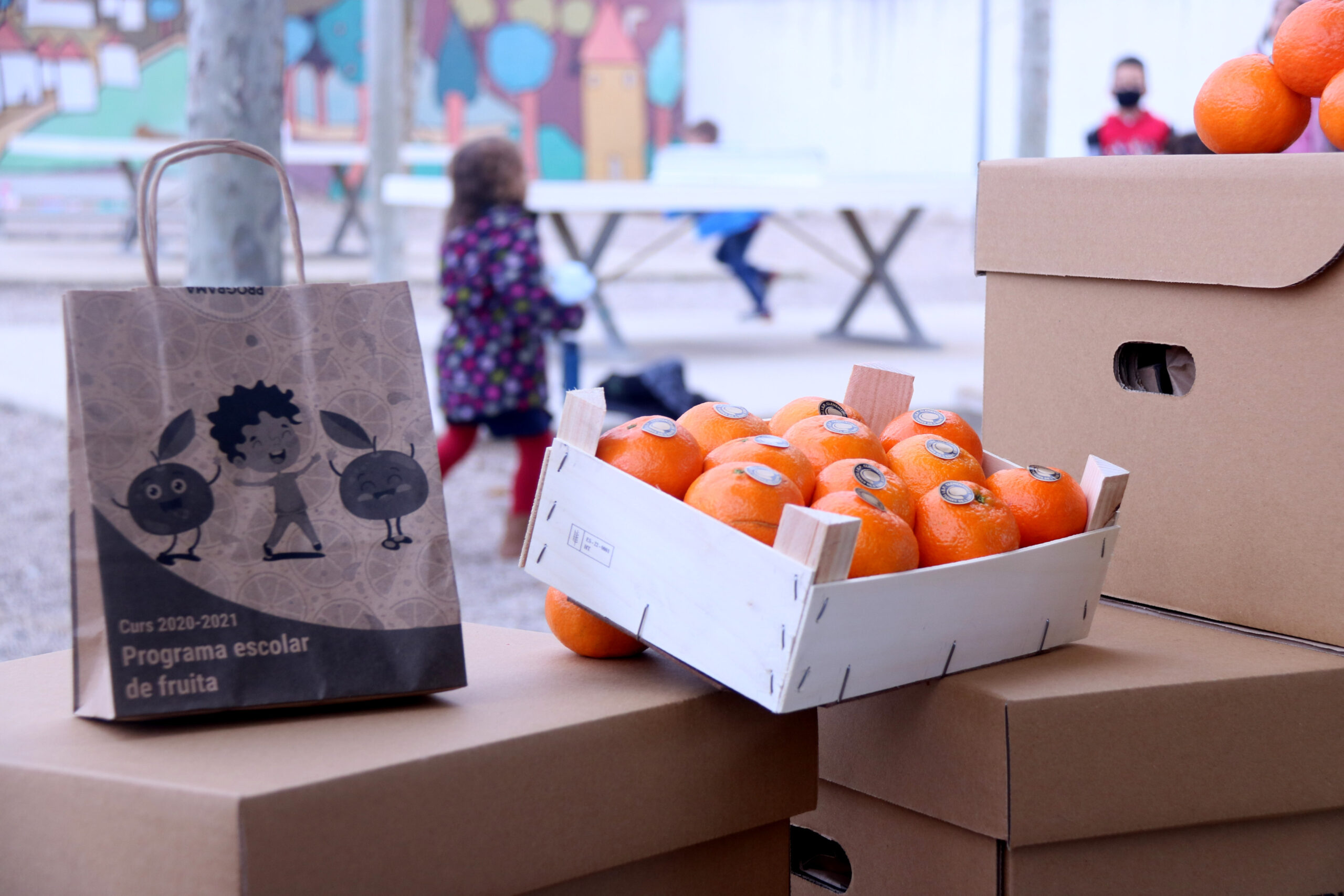 Pla detall d'una caixa i una bossa de clementines