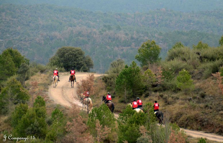 Ruta per Puig-Reig amb ase