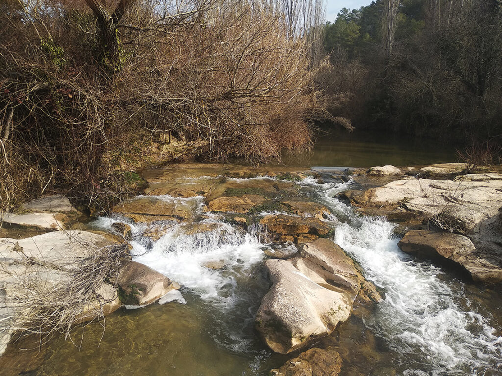 Santa Margarida de Tortafè - Riera de Merlès