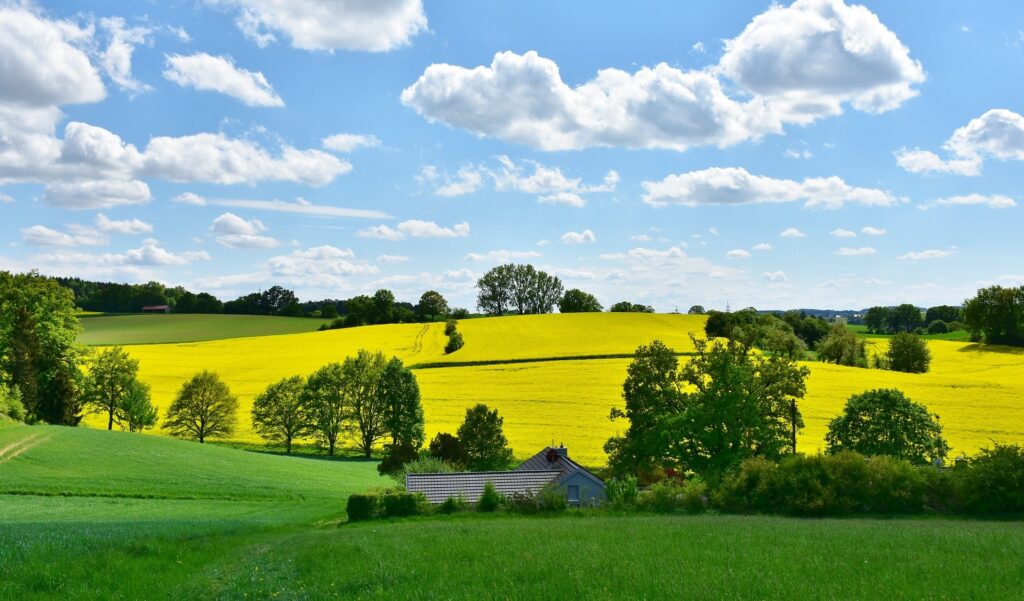 agricultura regenerativa