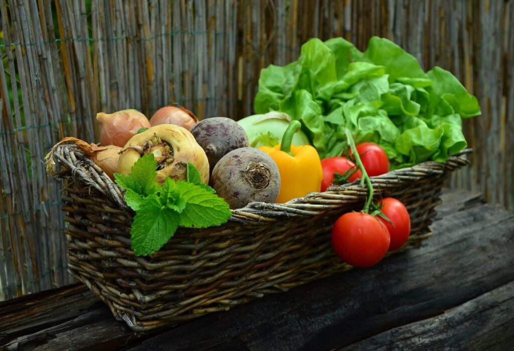 agricultura ecològica