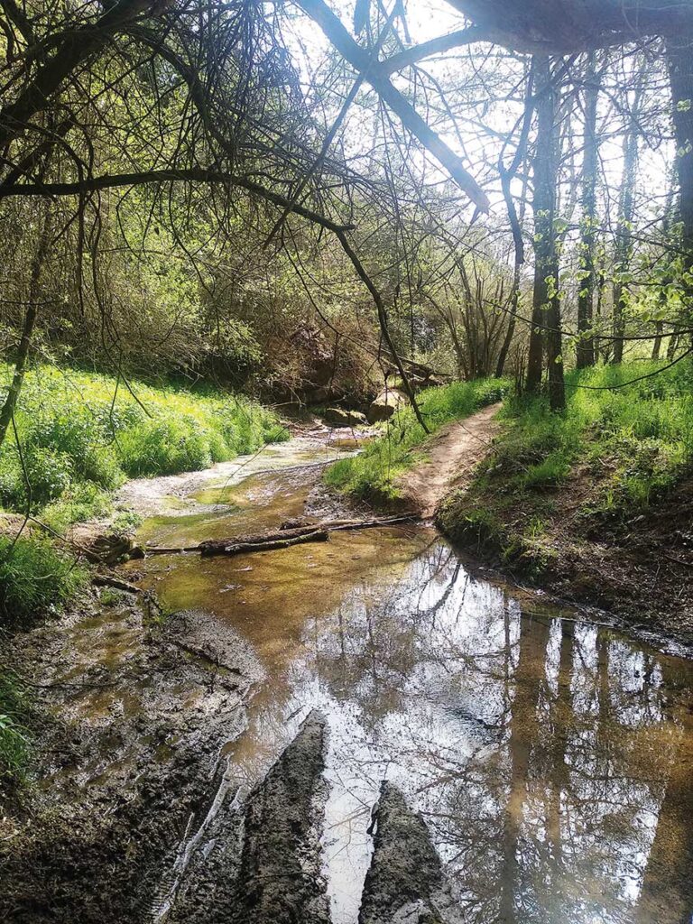 La Riera de les Febres, Bauma i salt d'aigua de Bellús