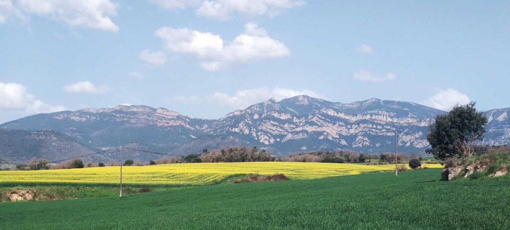 La Riera de les Febres, Bauma i salt d'aigua de Bellús