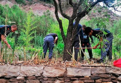 sallent horticultura