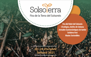 Solsoterra
