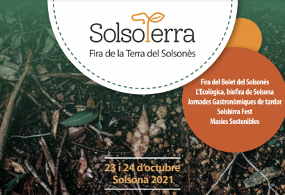 Solsoterra