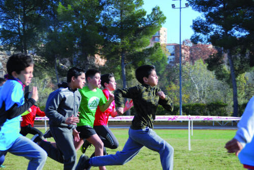 cros escolar