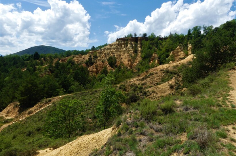 Esterregalls