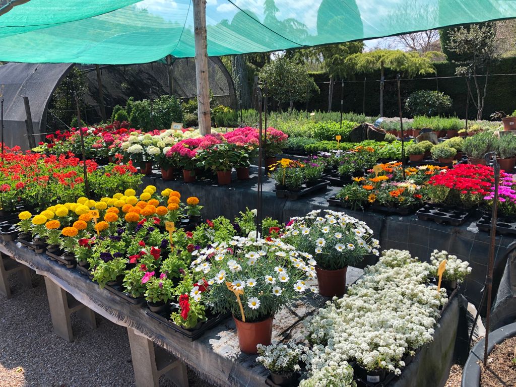 jardineria