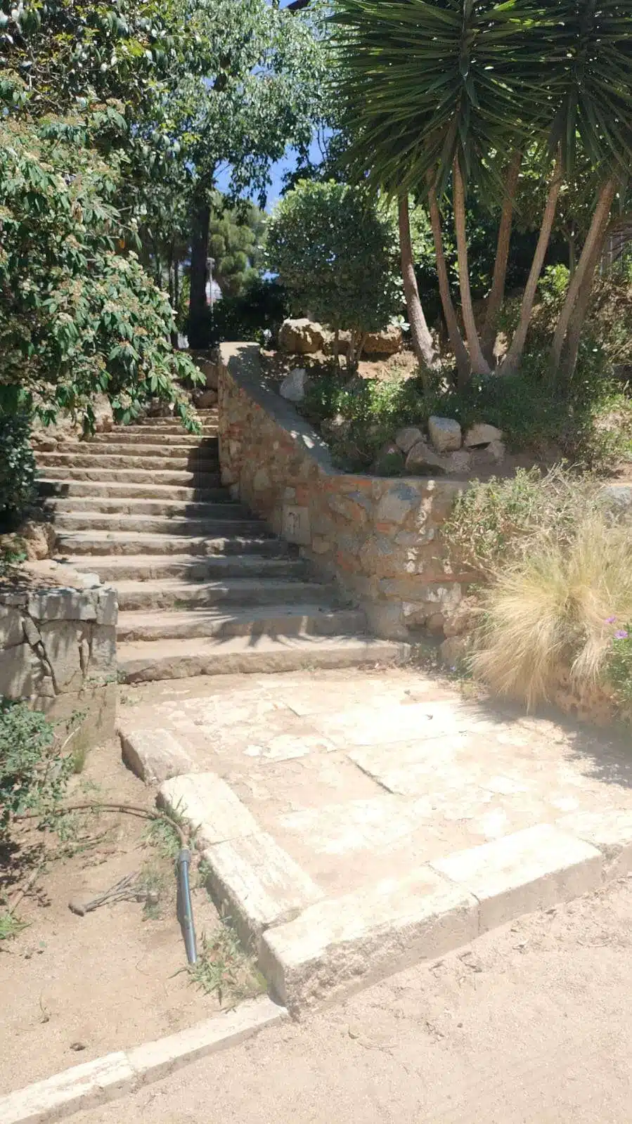 Camí de pedra envoltat de vegetació als jardins de Can Rafart Camí de pedra al Parc de Can Rafart