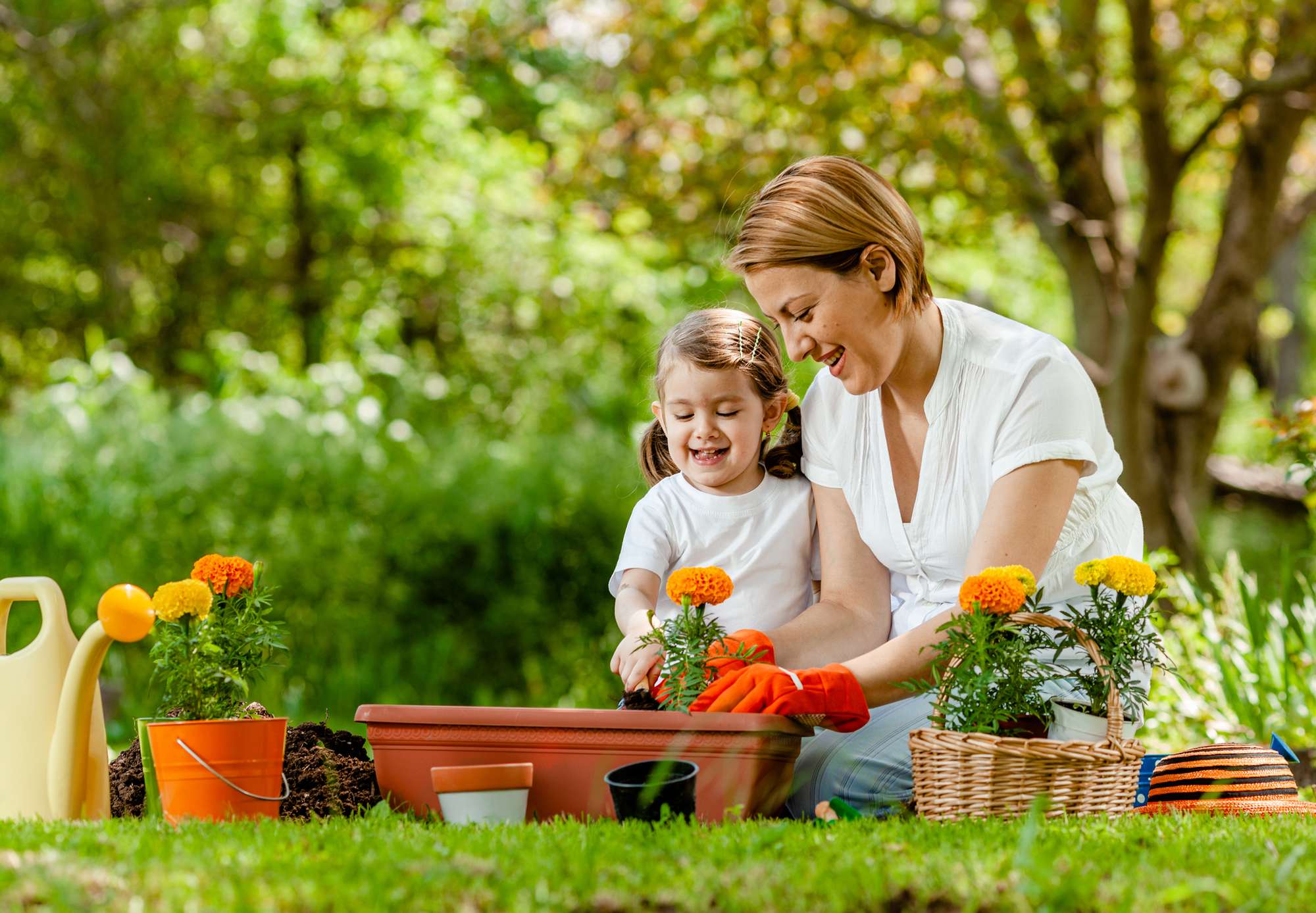 Consells de jardineria per a la primavera al Berguedà: cura les teves plantes com un expert