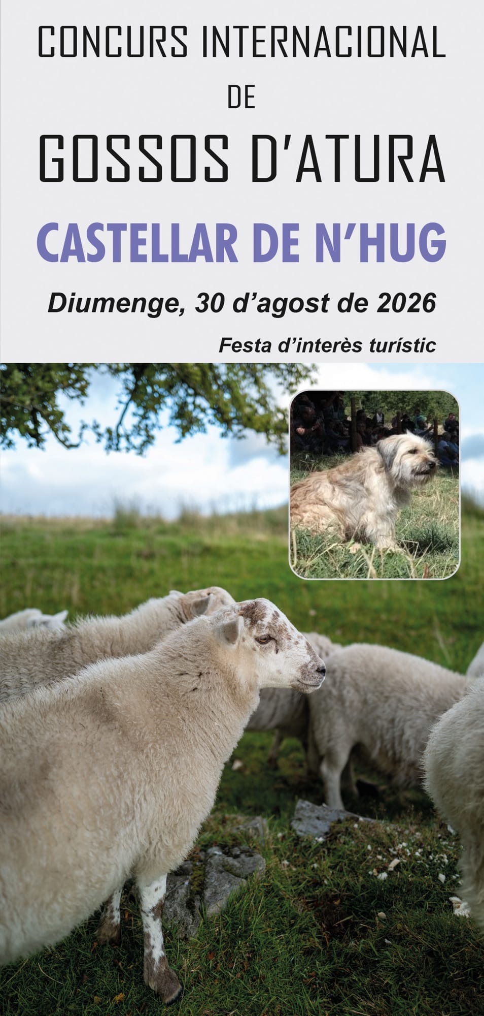 GOSSOS-ATURA-26