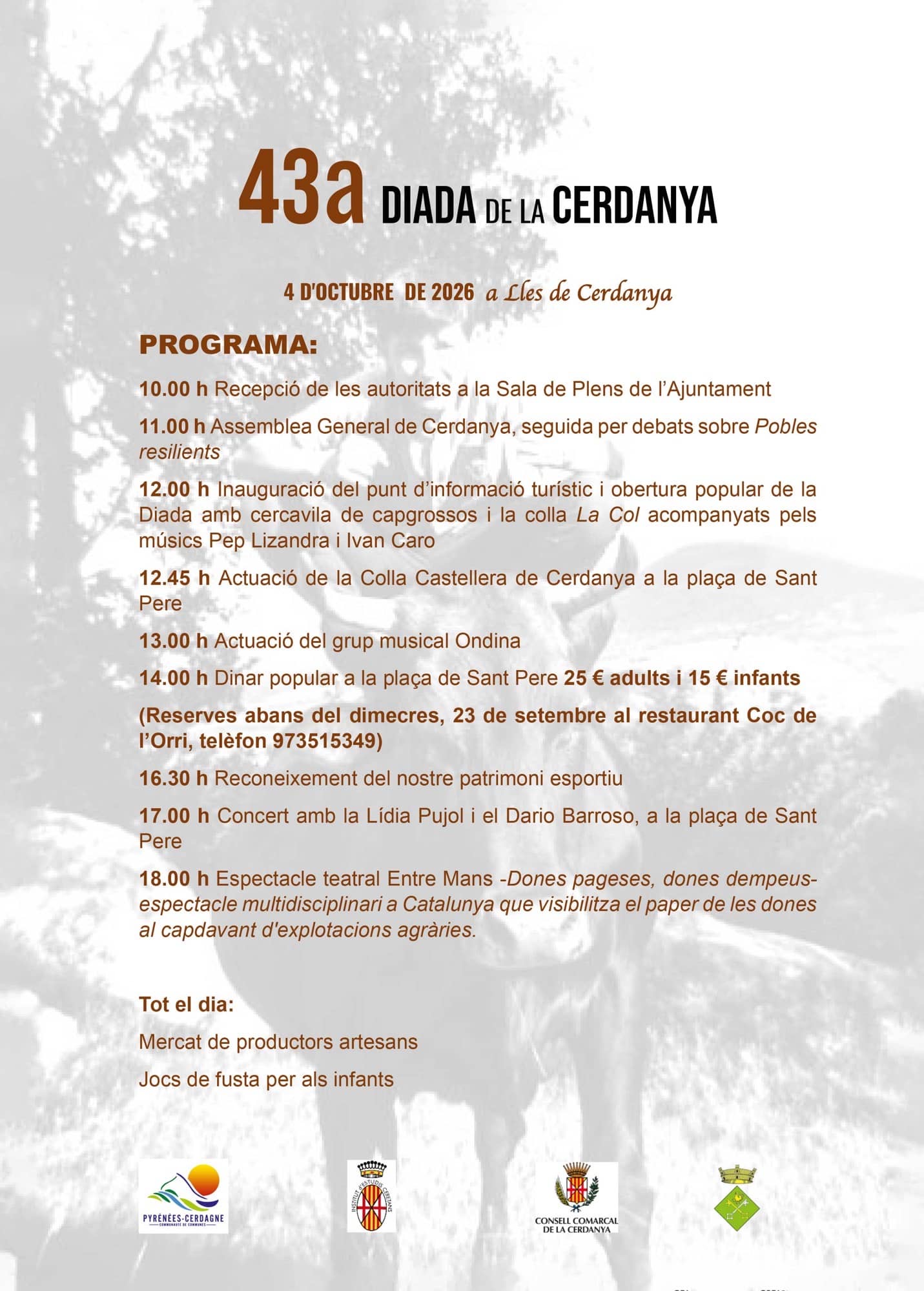 NOU PROGRAMA DIADA CERDANYA DEFINITIU