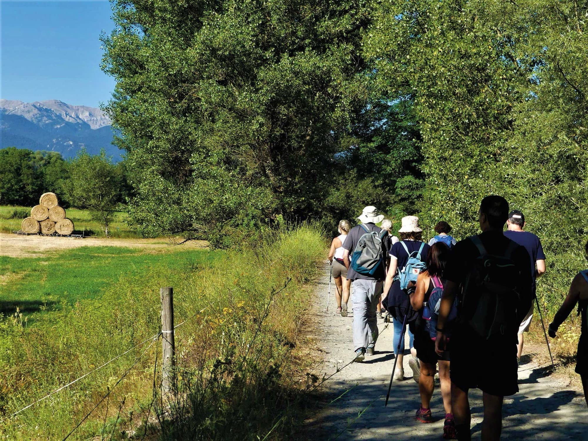 Grup d’excursionistes caminant per un sender de muntanya