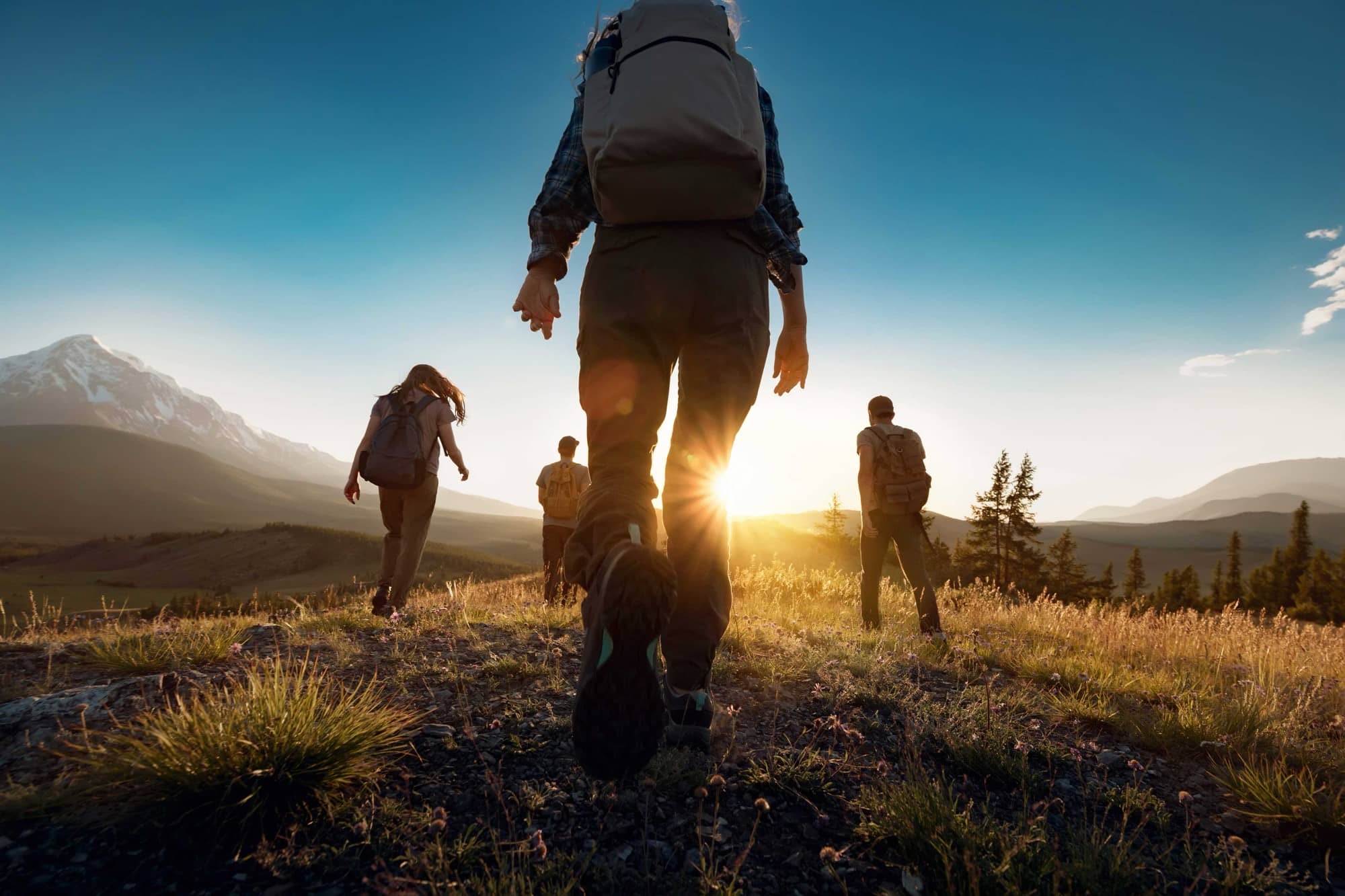 iStock-1369171053