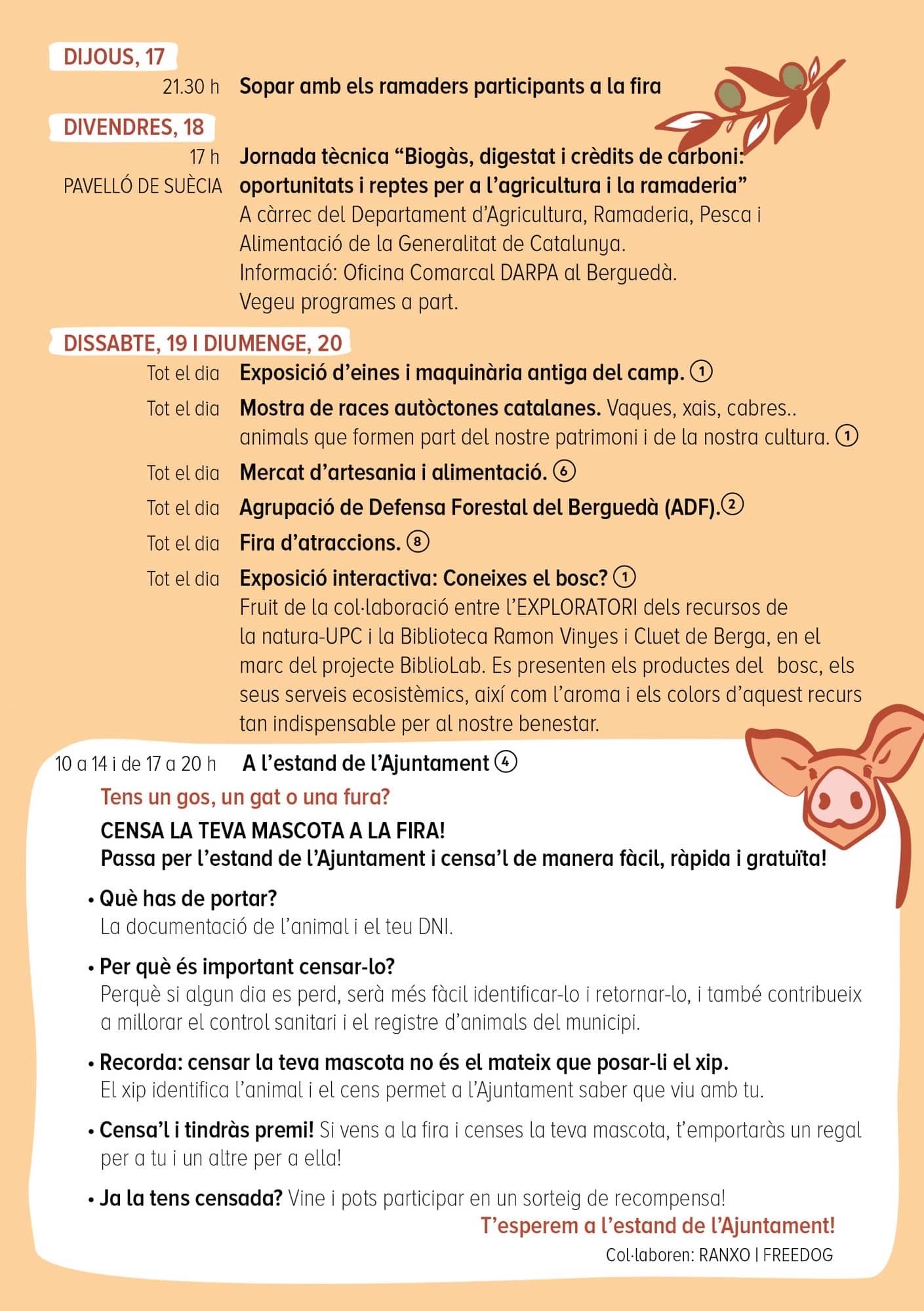 PROGRAMA STA TECLA 2026 2