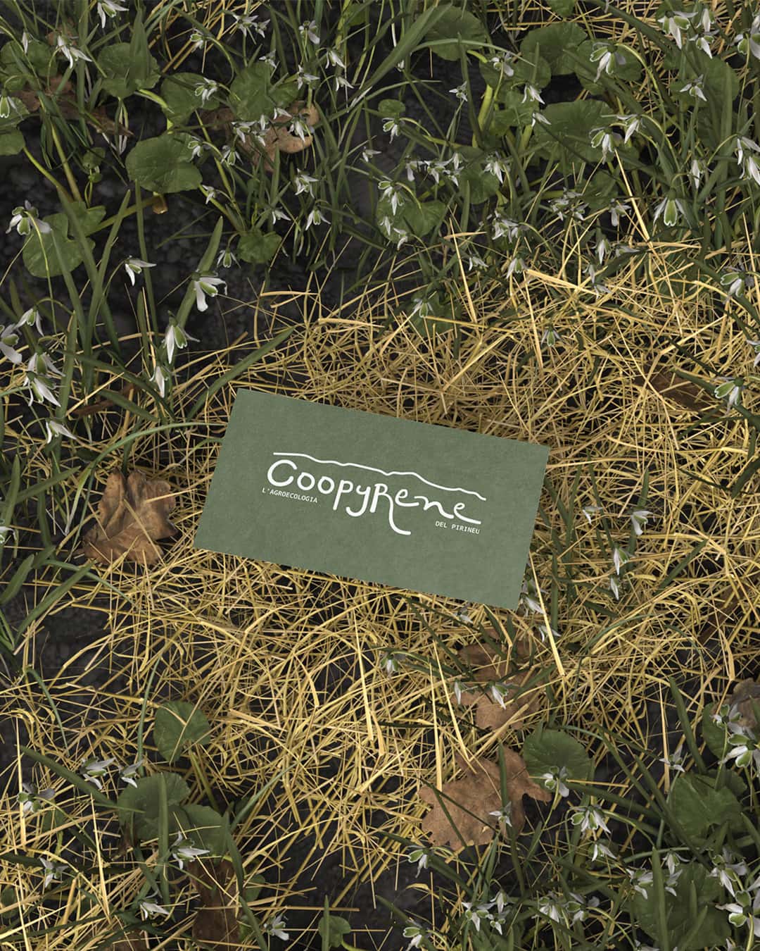 CoopyRené L’agroecologia del Pirineu