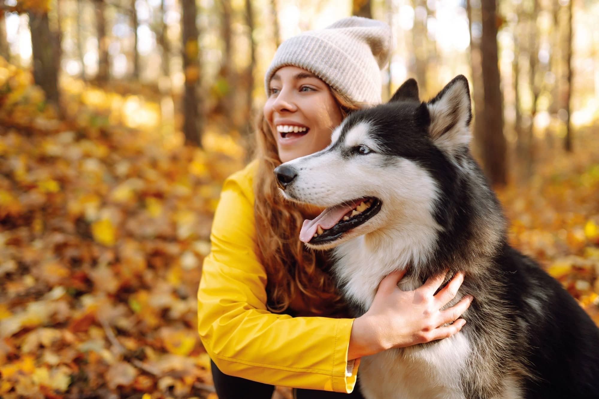 Dona jove abraçant un gos tipus husky en un bosc a la tardor