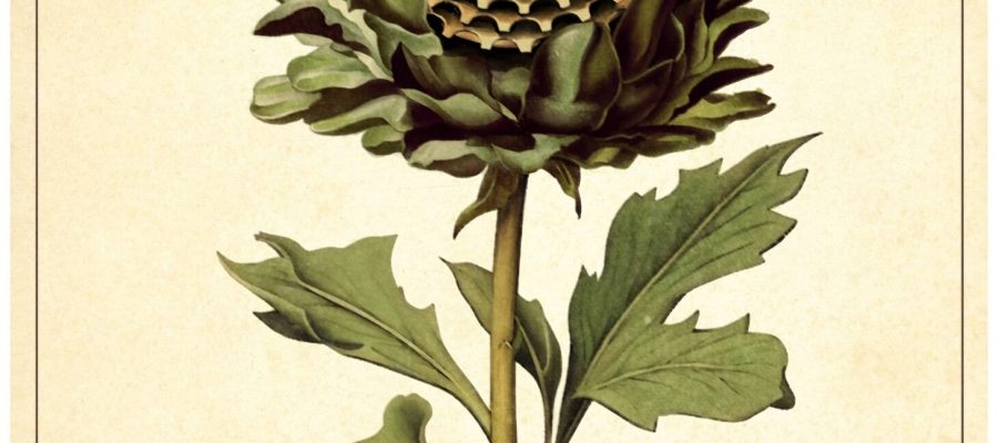 Cartell-Primavera-Ciclista