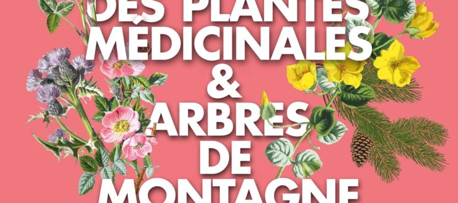 Festival-plantes-médicinales---web-modifiée-20-mai-25-JPEG