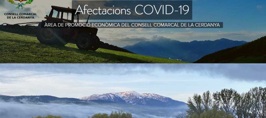 Informació útil per al teixit econòmic de la Cerdanya en el blog creat des del Consell Comarcal.