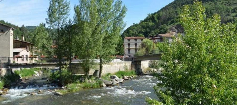 Martinet-20