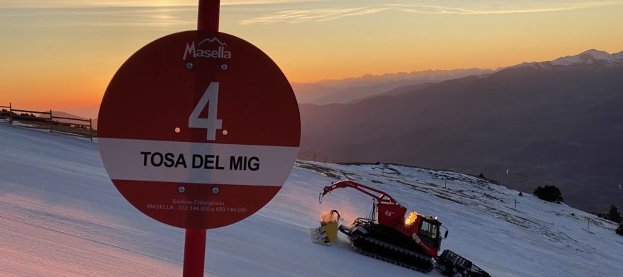 Masella