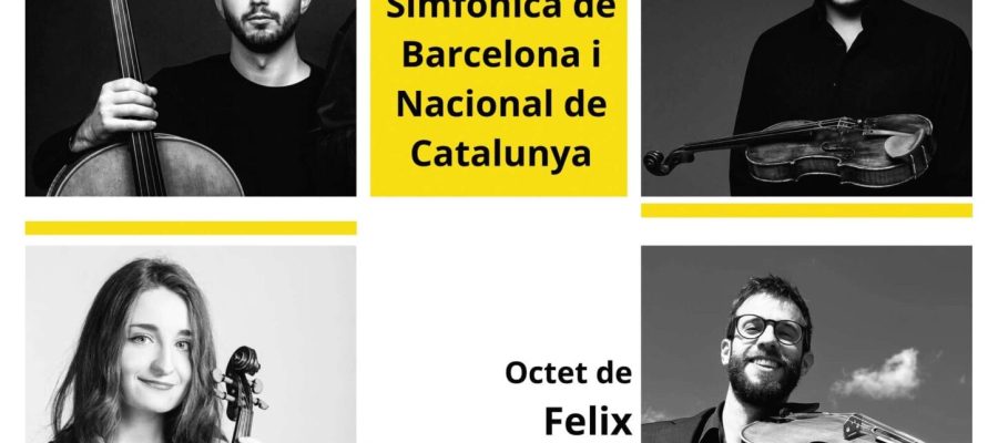 Octet-de-corda-de-la-Orquestra