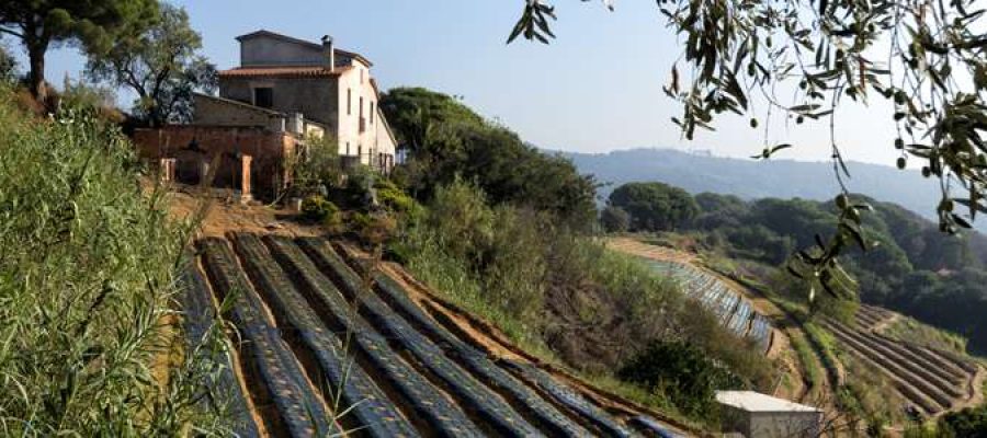 Orografia-tipica-dels-pobles-de-la-zona-alta-del-Maresme.jpg
