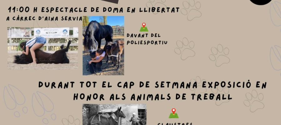 Sant Antoni - Sant Llorenç de Morunys