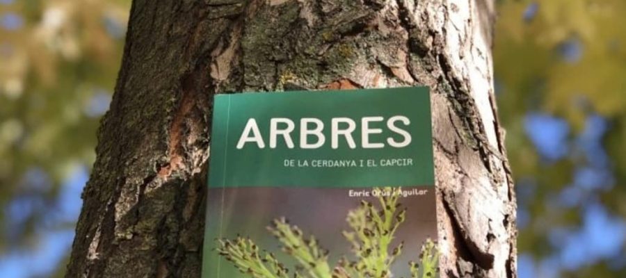 arbres