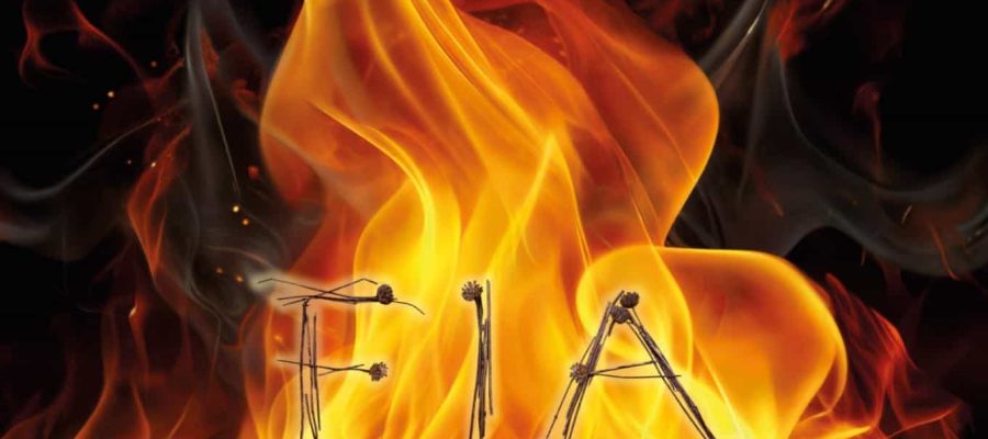 cartell-A3-FIA-FAIA-25