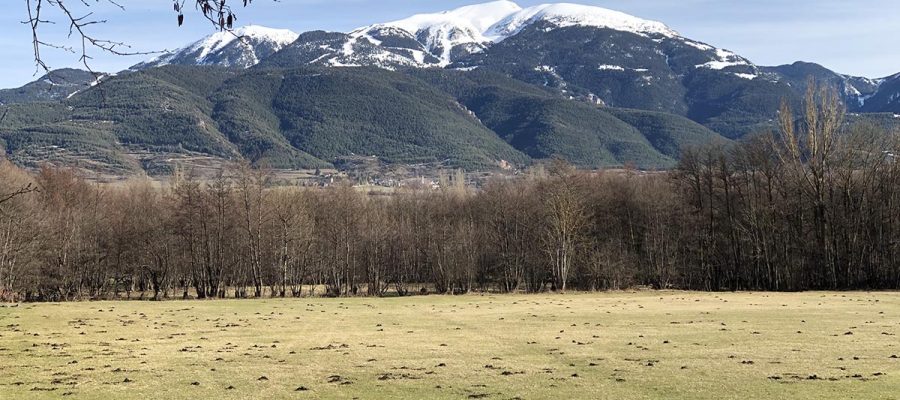 Els destins de muntanya poc coneguts es projecten com un dels espais que buscarà el nou turisme "post-coronavirus"|Muntanya de la Tosa des de la plana cerdana.