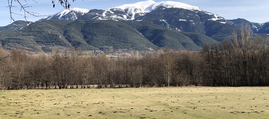 Els destins de muntanya poc coneguts es projecten com un dels espais que buscarà el nou turisme "post-coronavirus"|Muntanya de la Tosa des de la plana cerdana.