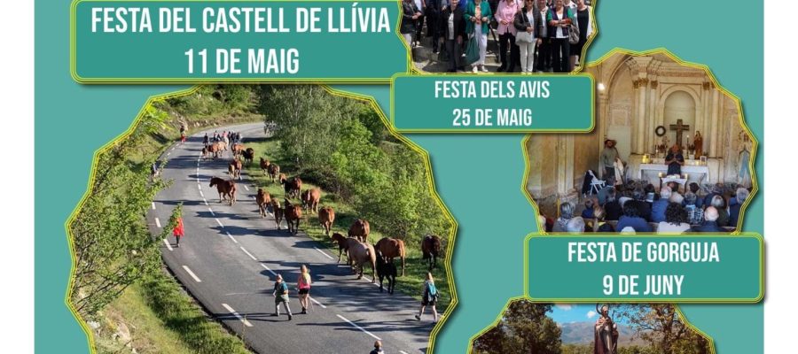 festesmaig-junt-llívia