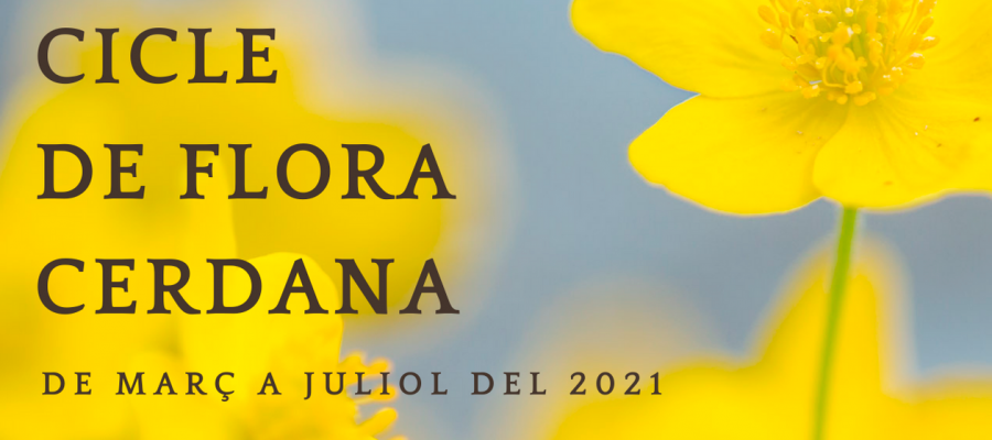 flora_cerdana_head