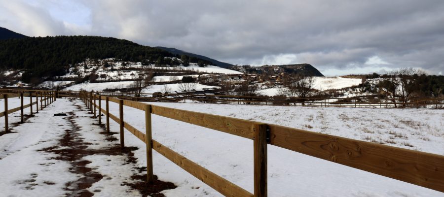 tancat de fusta instal·lat a la finca de Bellver de Cerdanya on s'ubicarà el centre de rehabilitació de cavalls Equí Salut.