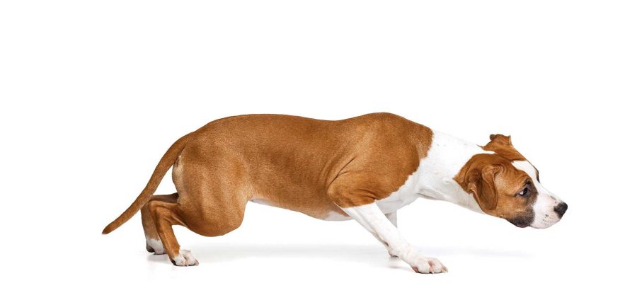 iStock-1395724398