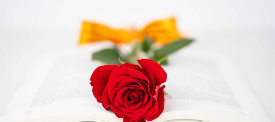 iStock-1479268795