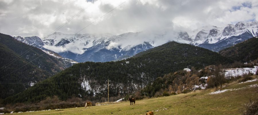 Winter in La Cerdanya, Pyrenees, Spain