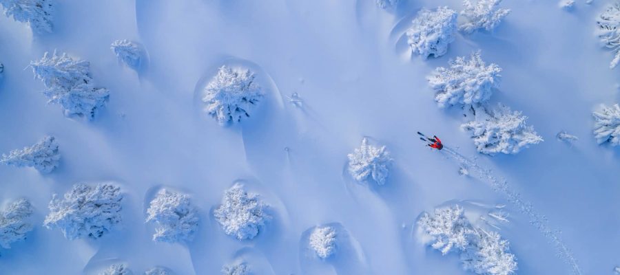 iStock-2255256385