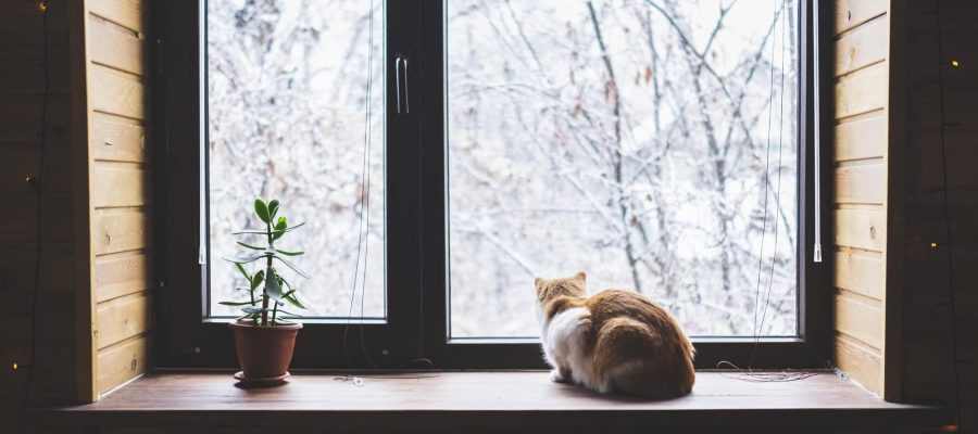 img_20251006102220 (1)