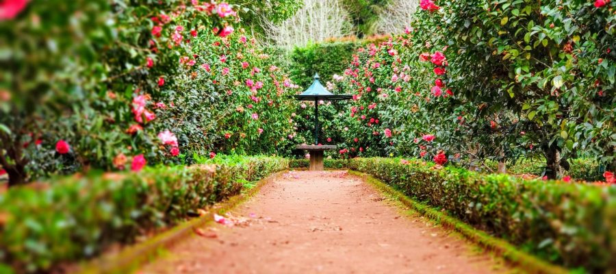 jardineria
