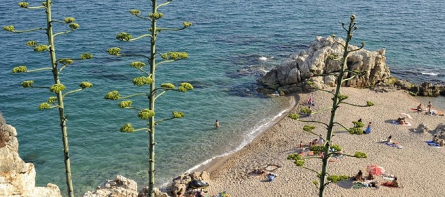 maresme_setembre